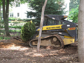 Skid Steer Landscaping