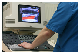 Doctor using ultrasound machine