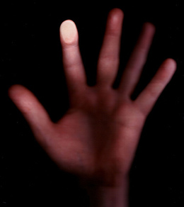 Biometric Hand Scan