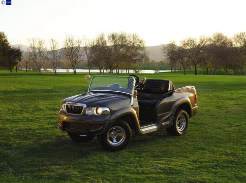 Custom Golf Carts